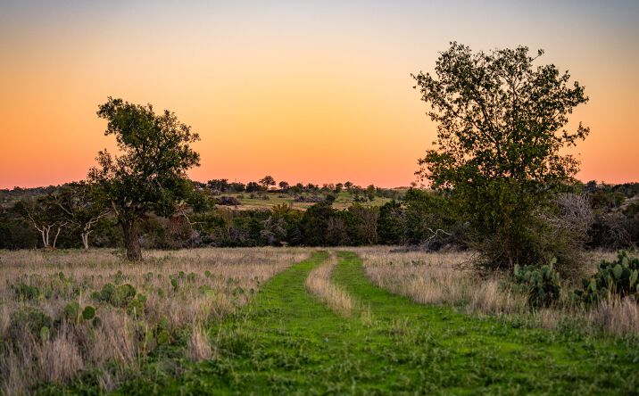 Pictures of Land property located at FM2843, Salado, TX 76571 for sales - image #1