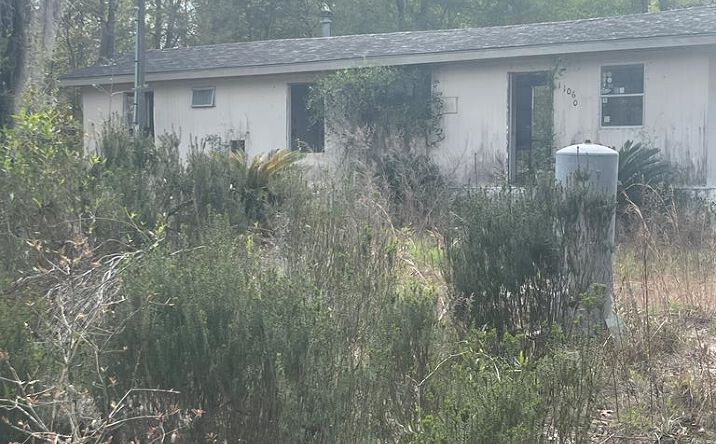 Pictures of Land property located at 11060 NE 65th Ln, Williston, FL 32696 for sales - image #1