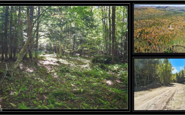 Pictures of Land property located at 77 Carriage Knls Rd, Chestertown, NY 12817 for sales - image #1