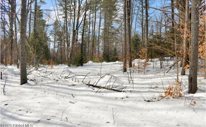 Pictures of Land property located at L95 Highview Lane Lot 11, Johnsburg, NY 12886 for sales - image #1