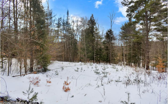 Pictures of Land property located at L86 Highview Lane Lot 2, Johnsburg, NY 12886 for sales - image #1