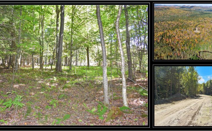 Pictures of Land property located at 86 Carriage Knls Rd, Chestertown, NY 12817 for sales - image #1
