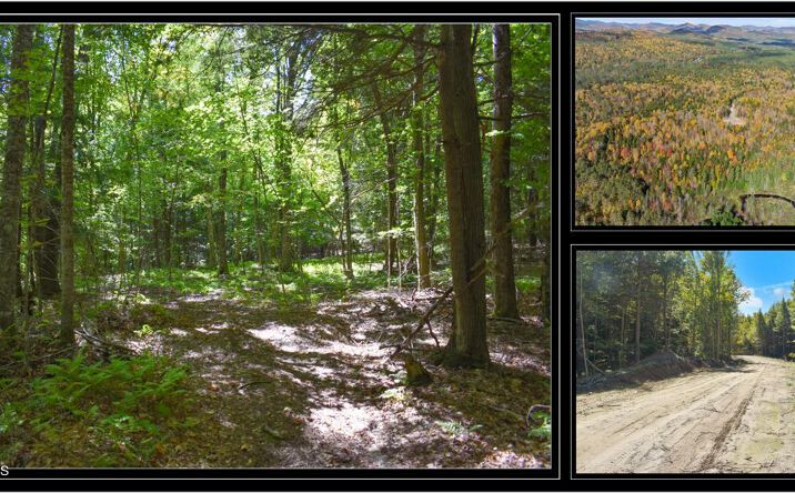 Pictures of Land property located at 98 Carriage Knoll Road, Chestertown, NY 12817 for sales - image #1