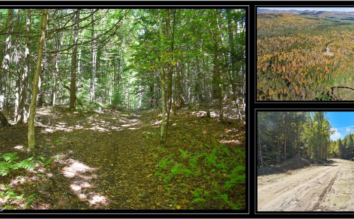 Pictures of Land property located at 82 Carriage Knoll Road, Chestertown, NY 12817 for sales - image #1