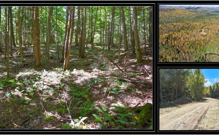 Pictures of Land property located at 72 Carriage Knoll Road, Chestertown, NY 12817 for sales - image #1