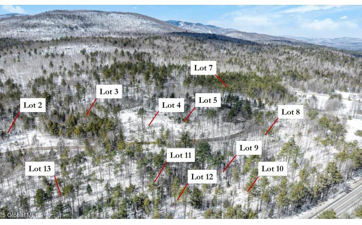 Pictures of Land property located at L93 Highview Lane Lot 9, Johnsburg, NY 12886 for sales - image #1