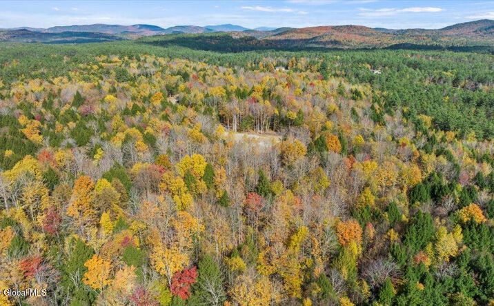 Pictures of Land property located at 71 Carriage Knls Rd, Chestertown, NY 12817 for sales - image #1