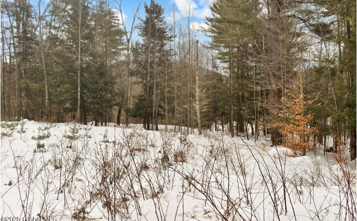 Pictures of Land property located at 18 Highview Lane Lot 1, Johnsburg, NY 12886 for sales - image #1