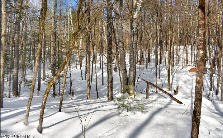 Pictures of Land property located at L94 Highview Lane Lot 10, Johnsburg, NY 12886 for sales - image #1