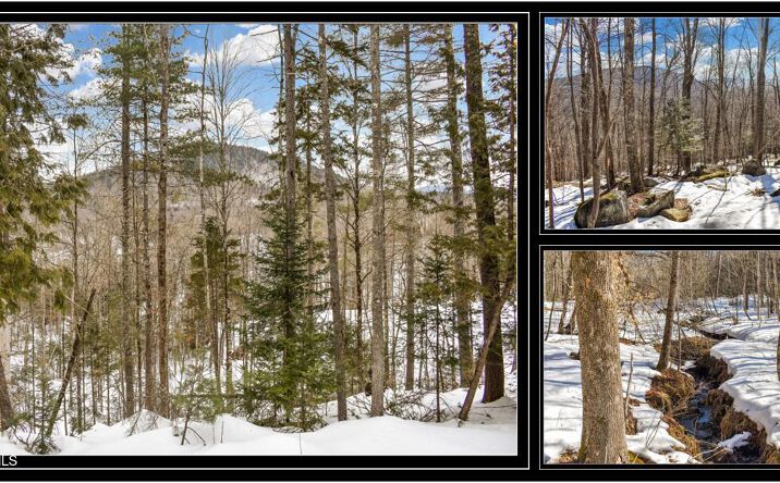 Pictures of Land property located at L64 Cooper Hill Road, Johnsburg, NY 12853 for sales - image #1