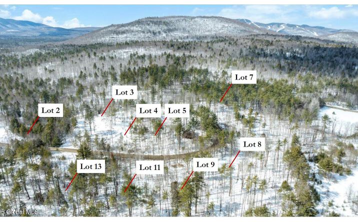 Pictures of Land property located at L97 Highview Lane Lot 13, Johnsburg, NY 12886 for sales - image #1
