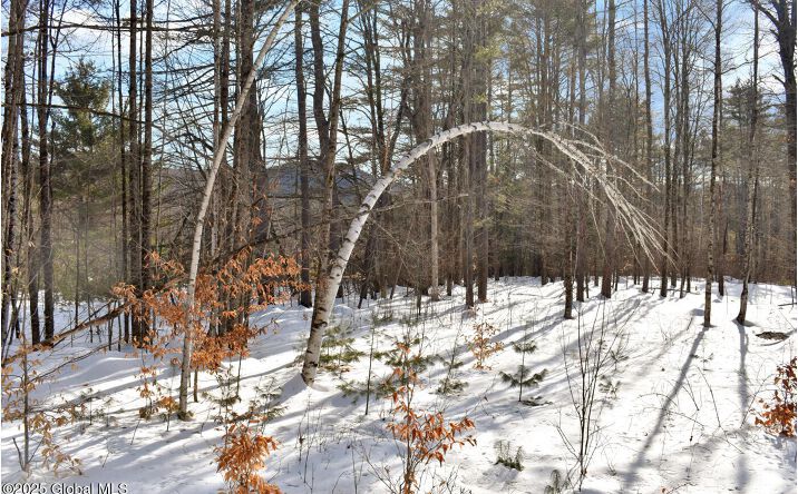 Pictures of Land property located at L92 Highview Lane Lot 8, Johnsburg, NY 12886 for sales - image #1
