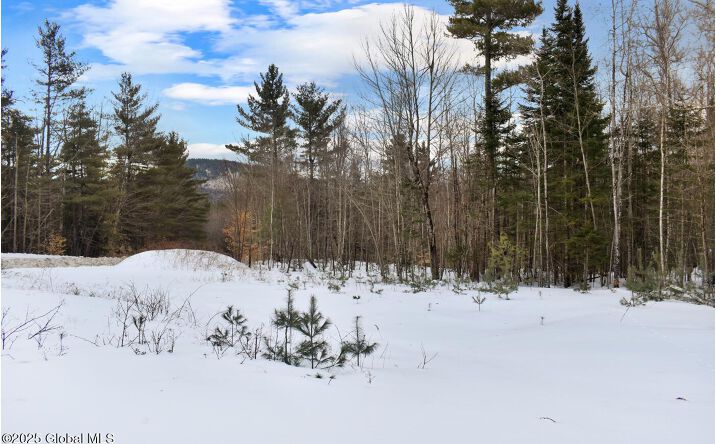 Pictures of Land property located at L88 Highview Lane Lot 4, Johnsburg, NY 12886 for sales - image #1