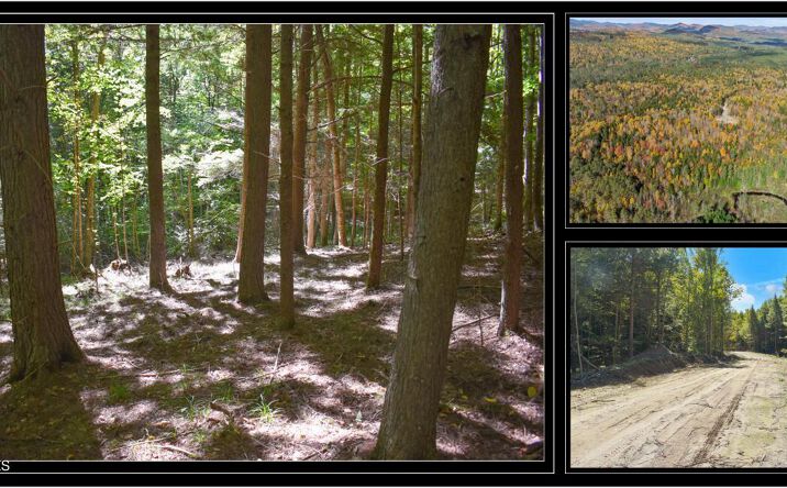 Pictures of Land property located at 106 Carriage Knoll Road, Chestertown, NY 12817 for sales - image #1