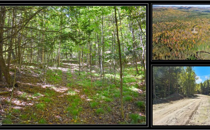 Pictures of Land property located at 102 Carriage Knls Rd, Chestertown, NY 12817 for sales - image #1