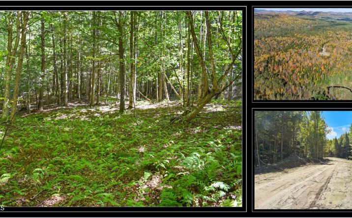 Pictures of Land property located at 85 Carriage Knls Rd, Chestertown, NY 12817 for sales - image #1