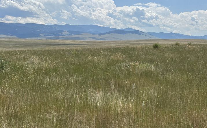 Pictures of Land property located at Lot 6 Papson Court, Hall, MT 59837 for sales - image #1