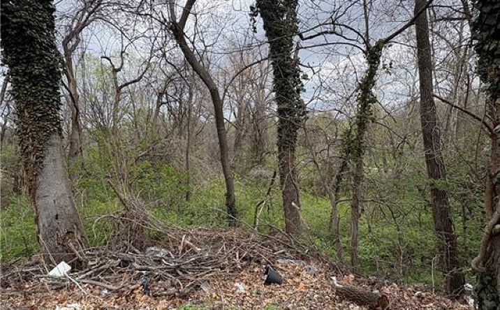 Pictures of Land, Multifamily property located at 2519 S Claremont Avenue, Independence, MO 64052 for sales - image #1