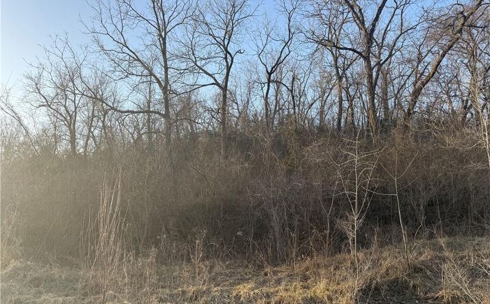 Pictures of Land property located at 6898 Sherman Road, Atchison, KS 66002 for sales - image #1
