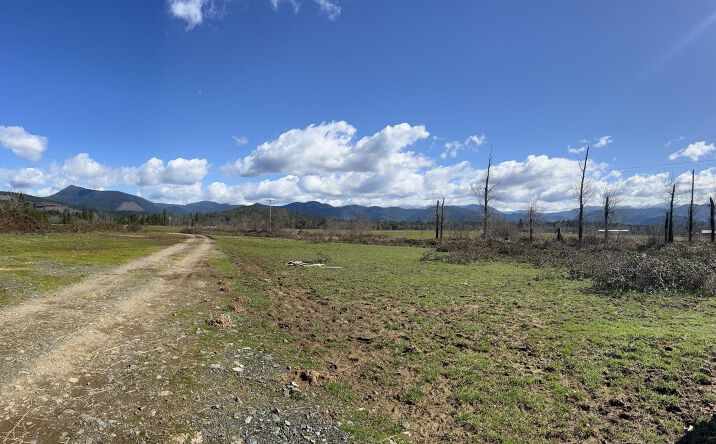 Pictures of Land property located at 2131 White School House Rd, Cave Junction, OR 97523 for sales - image #1