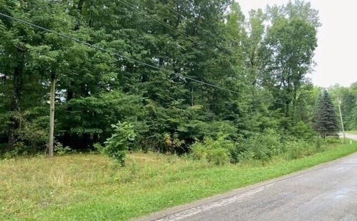 Pictures of Land property located at 7326 OH-19 Units 2-8, Mount Gilead, OH 43338 for sales - image #1
