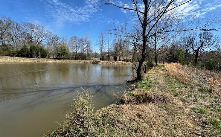 Pictures of Land property located at 00 Idlewild Hollyleaf Road, Milan, TN 38358 for sales - image #1