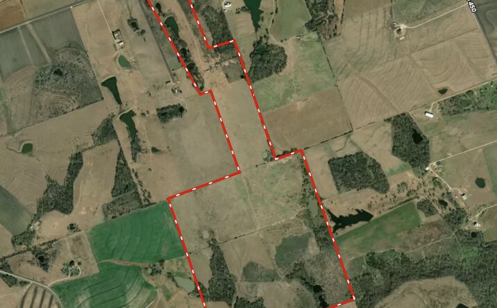 Pictures of Land property located at 2950 Co Rd 451, Coupland, TX 78615 for sales - image #1