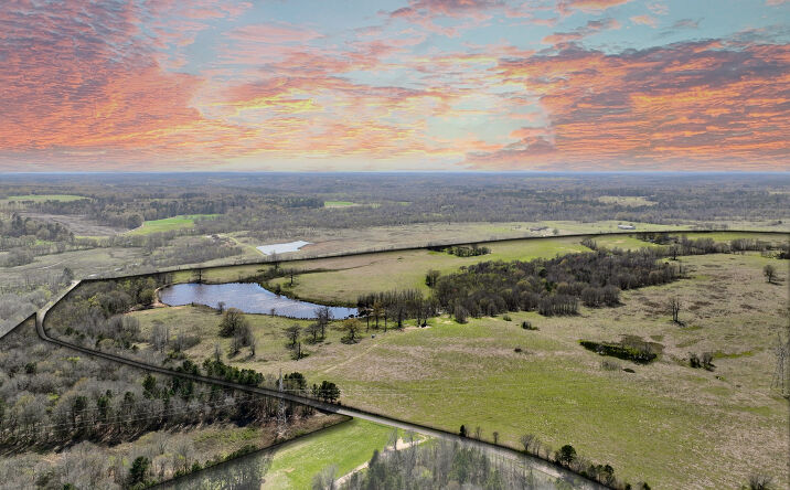 Pictures of Land property located at 24927 County Rd 244, Overton, TX 75684 for sales - image #1