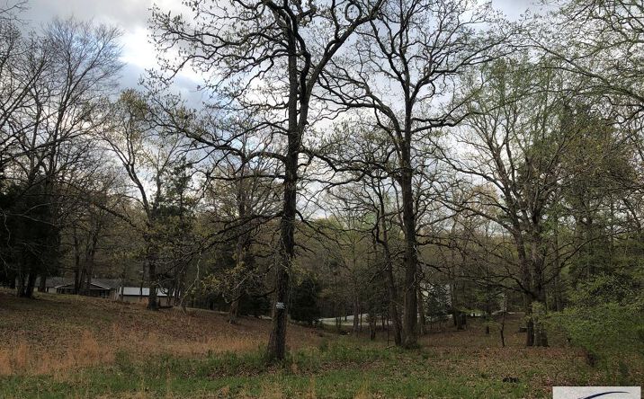 Pictures of Land property located at 00 Russwood, Springville, TN 38256 for sales - image #1