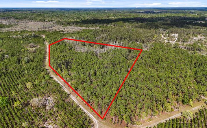Pictures of Land property located at 00 SE 51st Way, Trenton, FL 32693 for sales - image #1