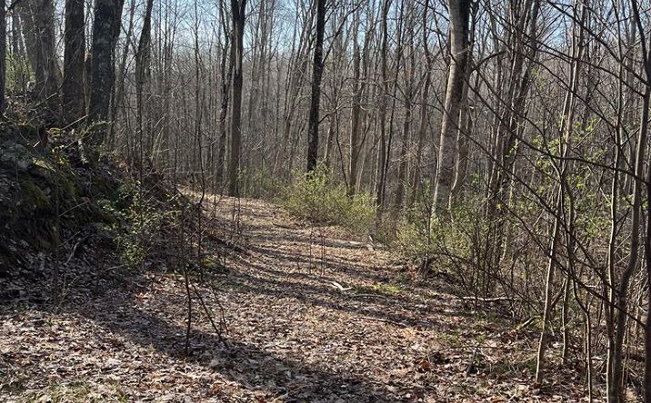 Pictures of Land property located at 0 Myron Court, Shady Spring, WV 25918 for sales - image #1