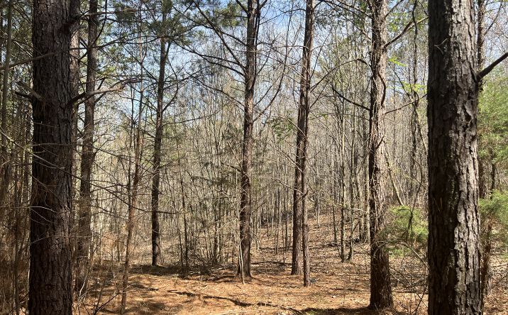 Pictures of Land property located at 16 Unbridled Rd, Rome, GA 30161 for sales - image #1
