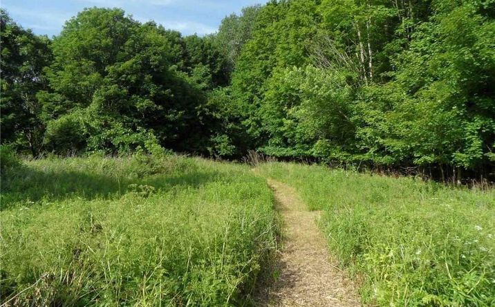 Pictures of Land property located at Henderson Street, Whitestown, NY 13492 for sales - image #1