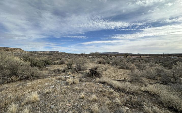 Pictures of Land property located at XXY ROAD 4599, Blanco, NM 87412 for sales - image #1