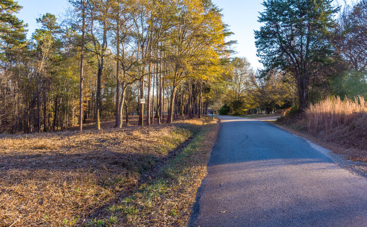 Pictures of Land property located at Marshall Tucker Rd, Pauline, SC 29374 for sales - image #1