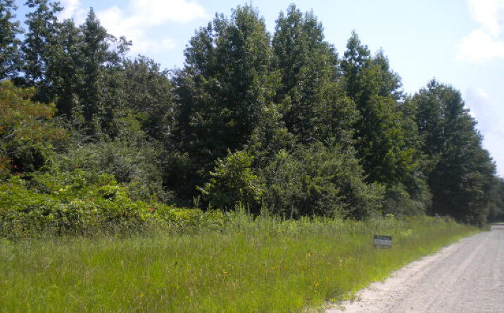 image of property at SR1118 HENDERSONS FARM RD Scotland Neck NC 27874