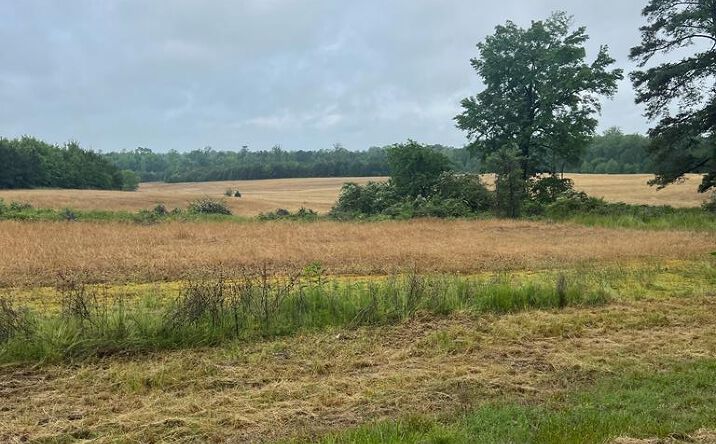 Pictures of Land property located at 000 Locust St, South Hill, VA 23970 for sales - image #1