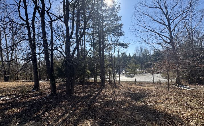 Pictures of Mixed Use, Land property located at 1519 Keeton Road, Bullock, NC 27507 for sales - image #1