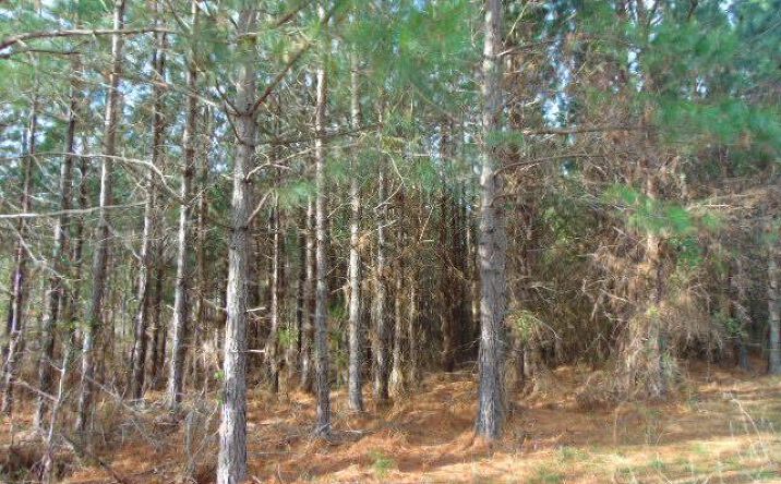 Pictures of Land property located at 126 Cumbia Lane, Brodnax, VA 23920 for sales - image #1