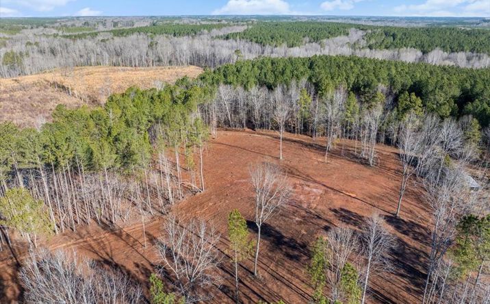 Pictures of Land property located at 0 Tanner Town Road, Brodnax, VA 23920 for sales - image #1