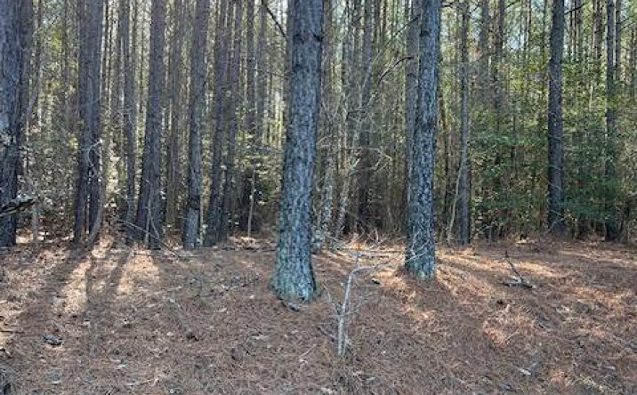 Pictures of Land property located at 000 Hassidiah Church Road, Jarratt, VA 23867 for sales - image #1