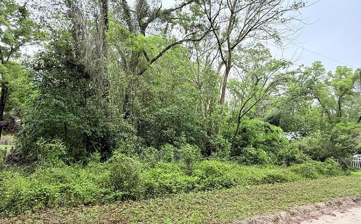 Pictures of Land property located at 8630 SW 82nd Ter, Trenton, FL 32693 for sales - image #1