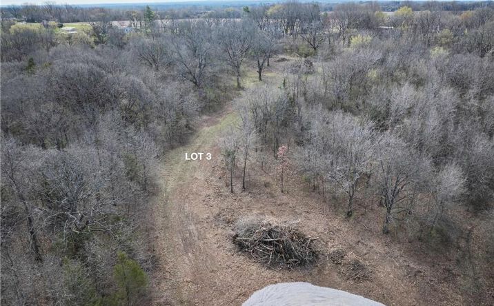 Pictures of Land, Special Purpose property located at 1521 S Buckner Tarsney Road, Buckner, MO 64016 for sales - image #1