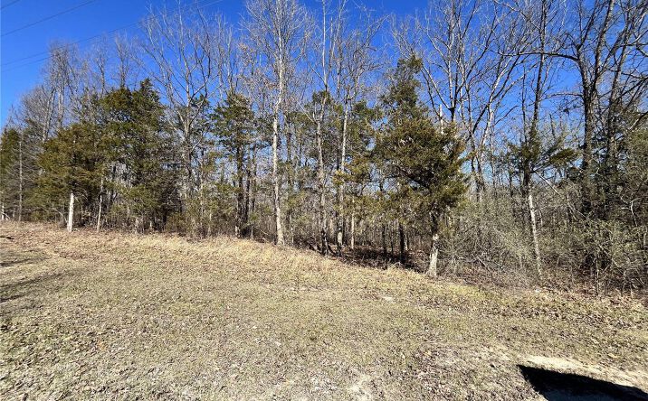 Pictures of Land property located at 5 Pinnacle Lake Rd, New Florence, MO 63363 for sales - image #1