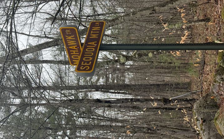 Pictures of Land property located at Sequoia Mountain Ln, Jay, NY 12941 for sales - image #1