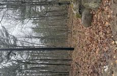 22776228