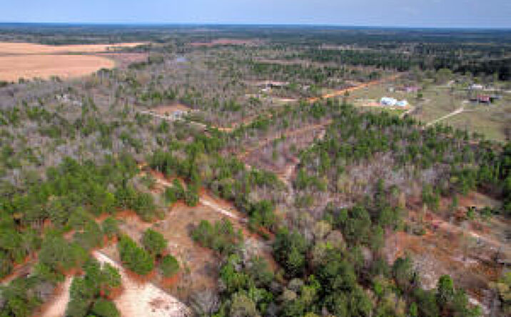 Pictures of Land property located at 11 Acres N Windsor Road, Windsor, SC 29856 for sales - image #1