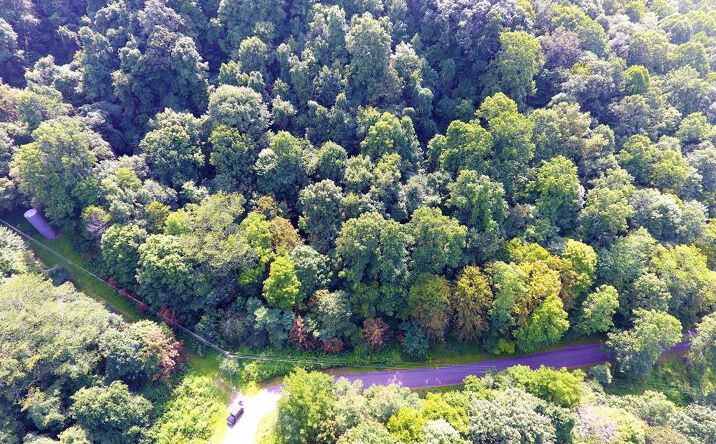 Pictures of Land property located at 0 Tyler Street, Abbs Valley, VA 24605 for sales - image #1