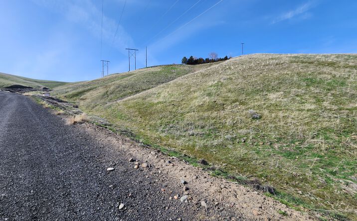 Pictures of Land property located at Evans Rd, Clarkston, WA 99403 for sales - image #1