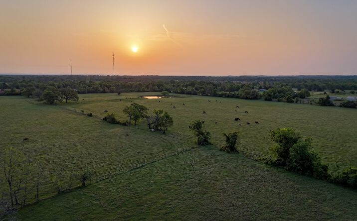 Pictures of Land property located at 930 County Road 357, Gause, TX 77857 for sales - image #1